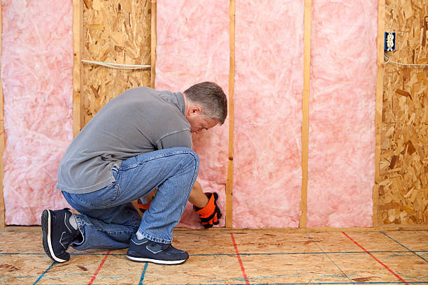 Best Insulation Maintenance and Repair in Salamanca, NY