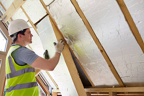 Best Specialized Insulation Services in Salamanca, NY